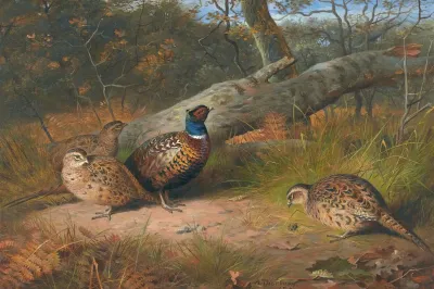 The Fallen Beech A Cock And Three Hen Pheasants With A Wasp