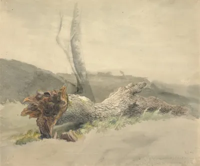 The Fallen Tree 2