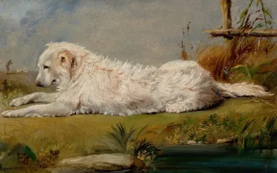 The Family Dog