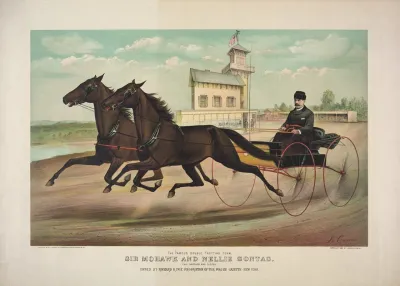 The Famous Double Trotting Team Sir Mohawk And Nellie Sontag Full Brother And Sister