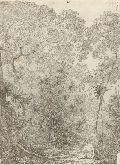 The Fan Palm Of Cracatoa