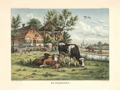 The Farm 5