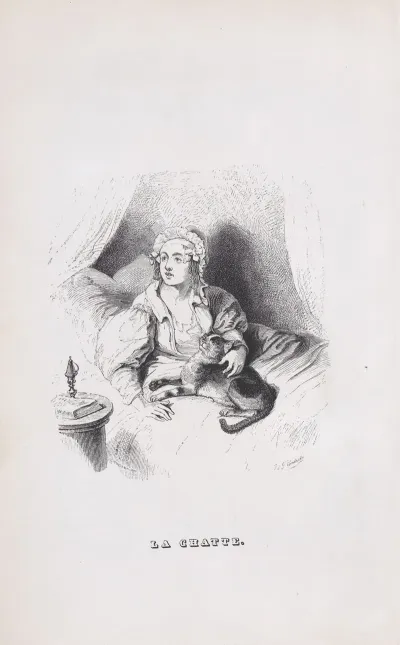 The Female Cat