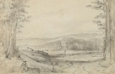 The Fern Ground Looking Up Towards Managaroa