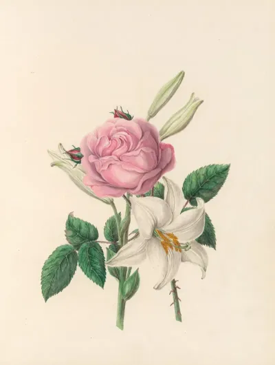 The Fete Of The Flowers Pl 01