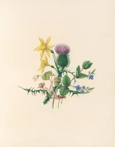 The Fete Of The Flowers Pl 02