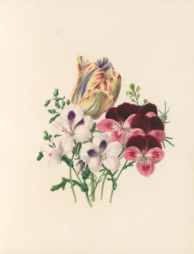 The Fete Of The Flowers Pl 03