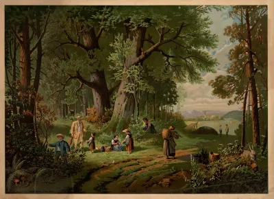 The Forest 4