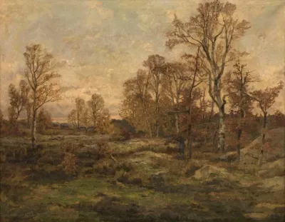 The Forest Of Fontainebleau Autumn Evening