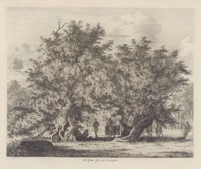 The Fortingal Yew