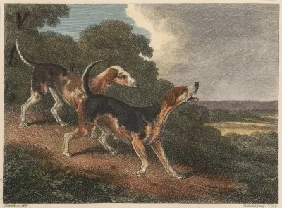 The Fox Hound
