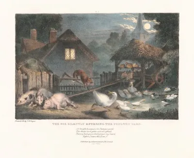 The Fox Silently Entering The Poultry Yard