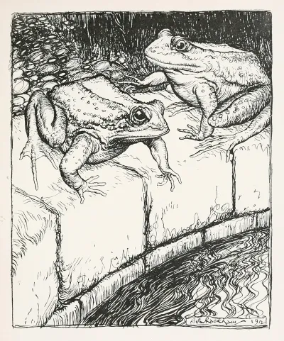 The Frogs And The Well