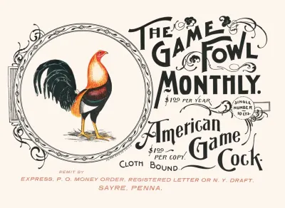 The Game Fowl Monthly American Game Cock