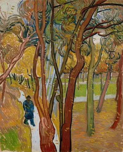 The Garden Of Saint Pauls Hospital The Fall Of The Leaves
