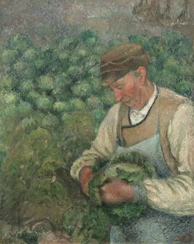 The Gardener Old Peasant With Cabbage
