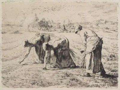 The Gleaners 8