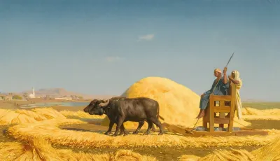 The Grain Threshers Egypt