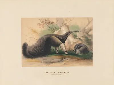 The Great Anteater 2