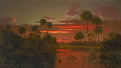 The Great Florida Sunset