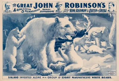 The Great John Robinsons 4 Ring Circus 16000 Invested Alone In A Group Of Eight Magnificient White Bears