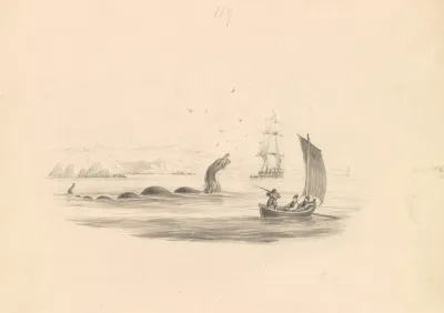 The Great Sea Serpent