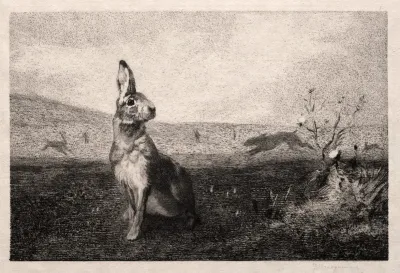 The Hare After A De Balleroy
