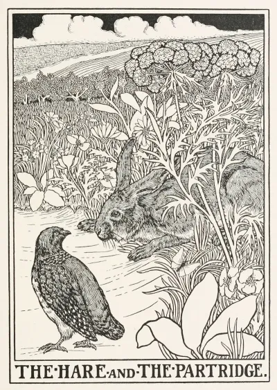 The Hare And The Partridge