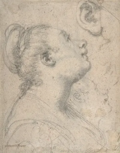The Head And Shoulders Of A Woman In Profile