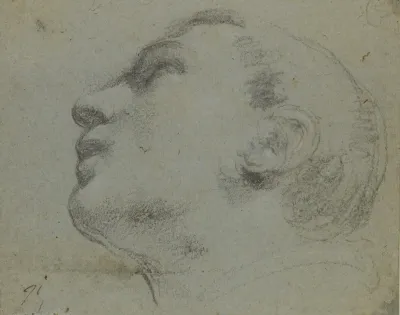 The Head Of A Man Turned To The Left