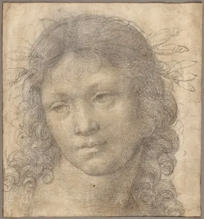The Head Of A Young Boy Crowned With Laurel