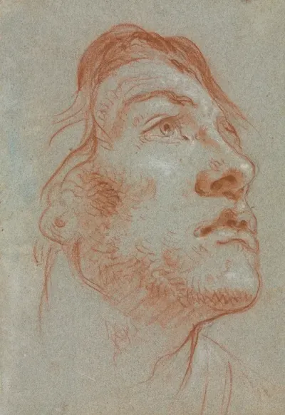 The Head Of A Young Man Looking Upwards To The Right