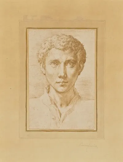 The Head Of A Young Man