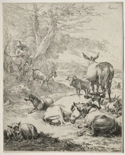 The Herd At Rest 2