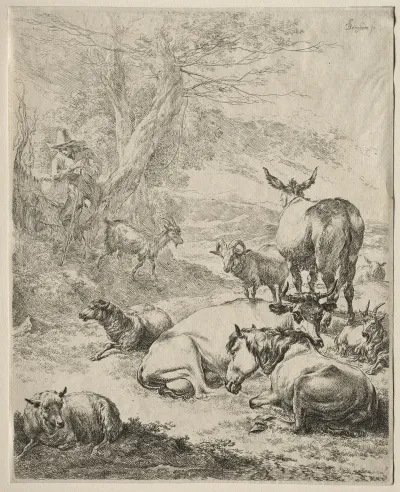 The Herd At Rest