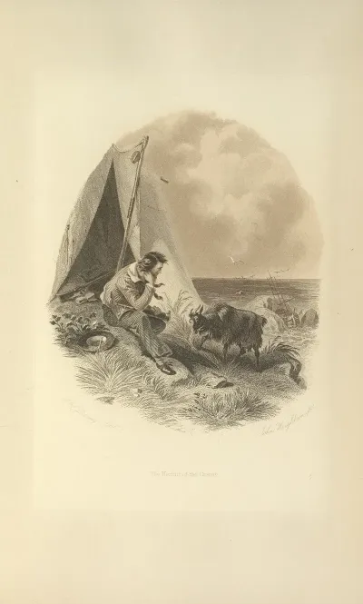 The Hermit Of The Crater