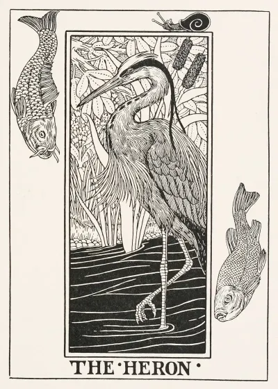The Heron 2