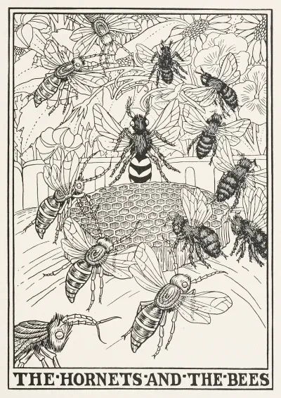 The Hornets And The Bees
