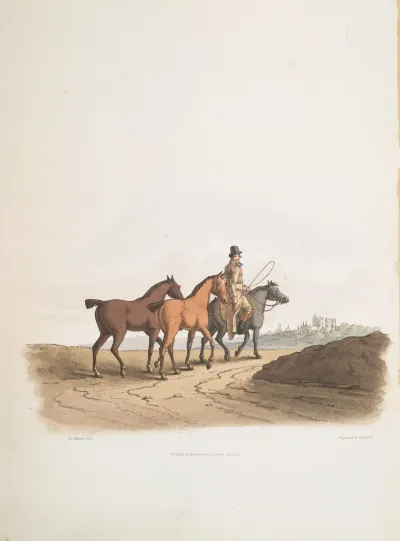 The Horse Dealer