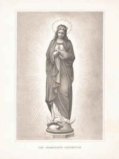 The Immaculate Conception 11