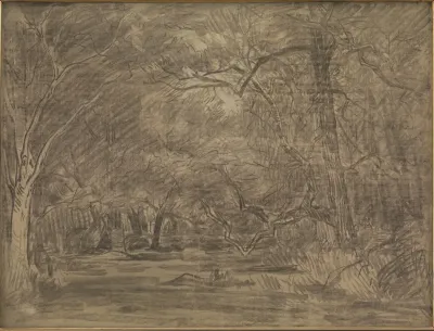 The Interior Of A Forest