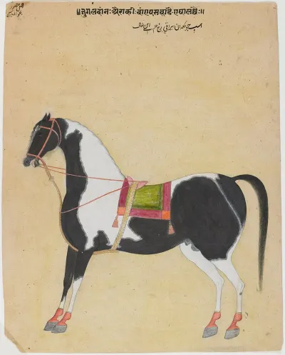 The Iraqi Steed Jugaldan