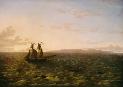 The Island Of Madeira
