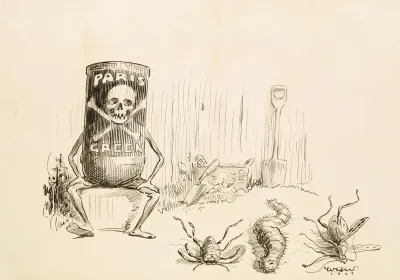 The Judgement Of Paris Green