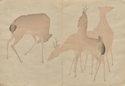 The Korin Picture Book Pl 06