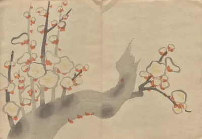 The Korin Picture Book Pl 19
