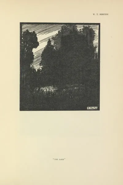 The Lake 6