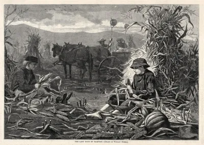 The Last Days Of Harvest