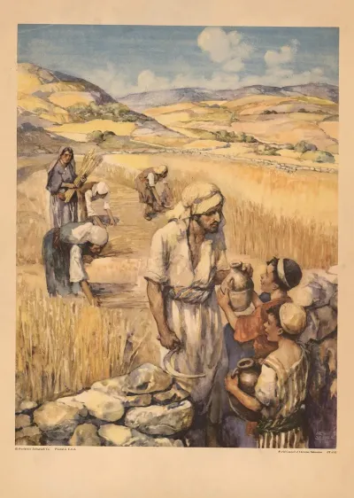 The Law Of The Harvest