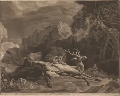The Lion And Stag
